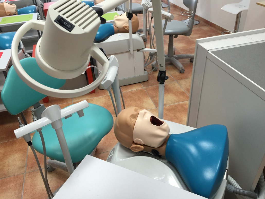 Comment réussir ses études de dentiste Notre article
